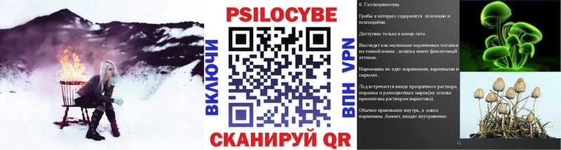 Купить  Анжеро-Судженск  Псилоцибиновые грибы прущие грибы 
