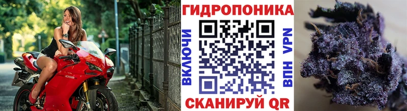 Каннабис конопля  Купить закладки  Анжеро-Судженск 